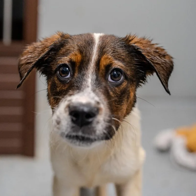 Michelle Williams thumbnail 3