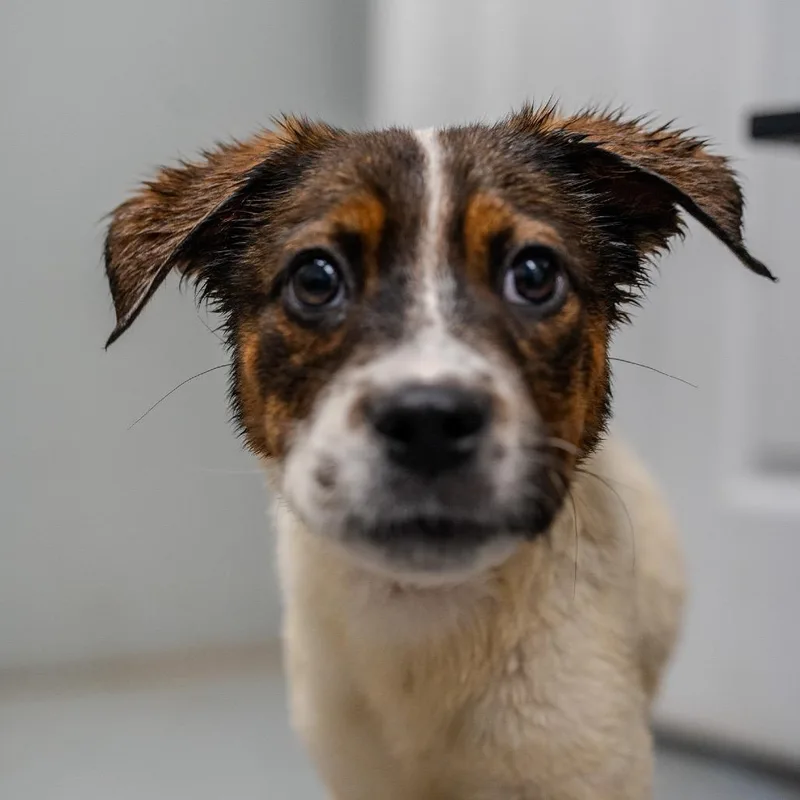 Michelle Williams thumbnail 4