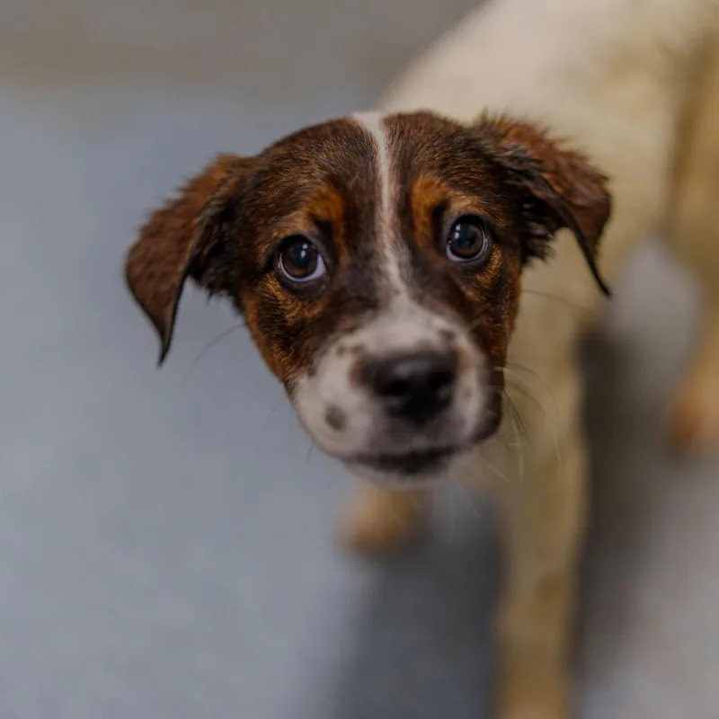 Michelle Williams thumbnail 5