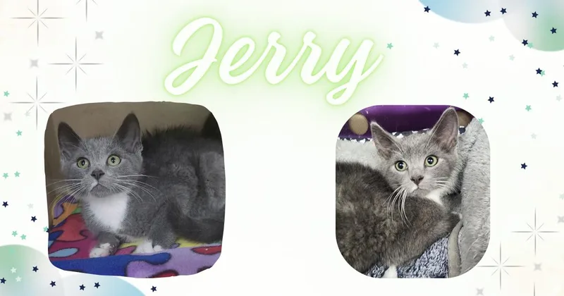 Jerry