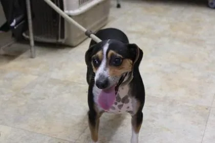 Benny