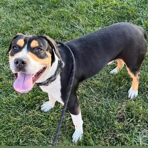 Rice A Roni thumbnail 2