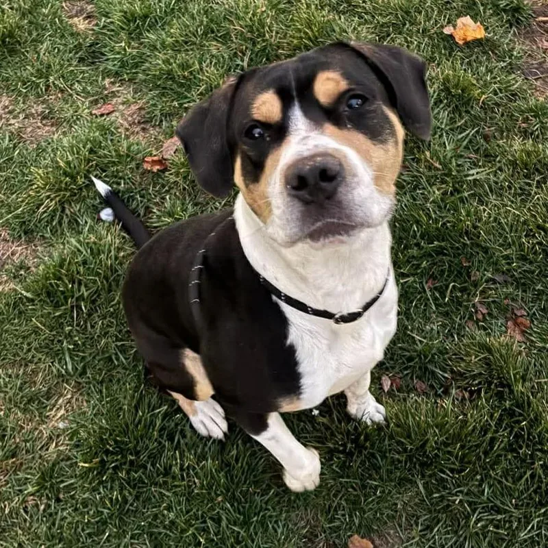 Rice A Roni thumbnail 3