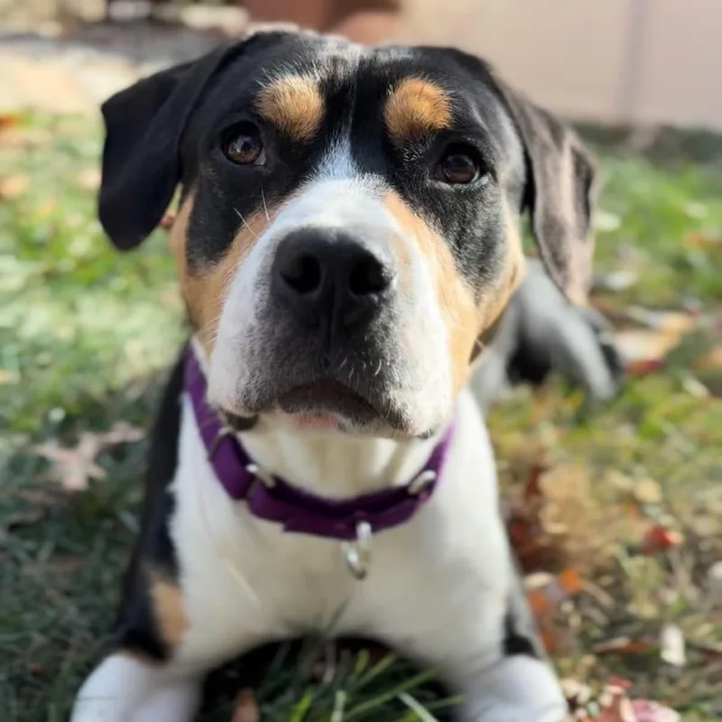 Rice A Roni thumbnail 4