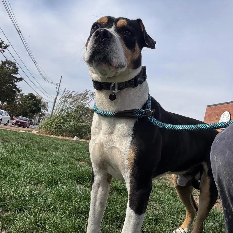 Rice A Roni thumbnail 5