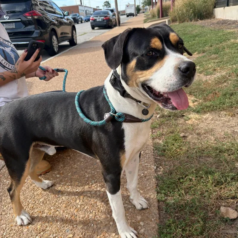 Rice A Roni thumbnail 6