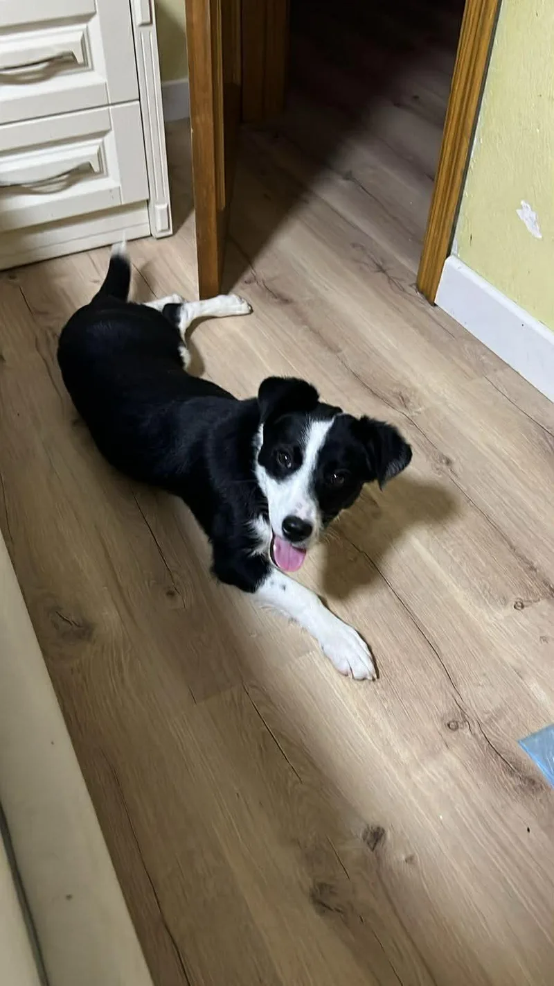 Yuki