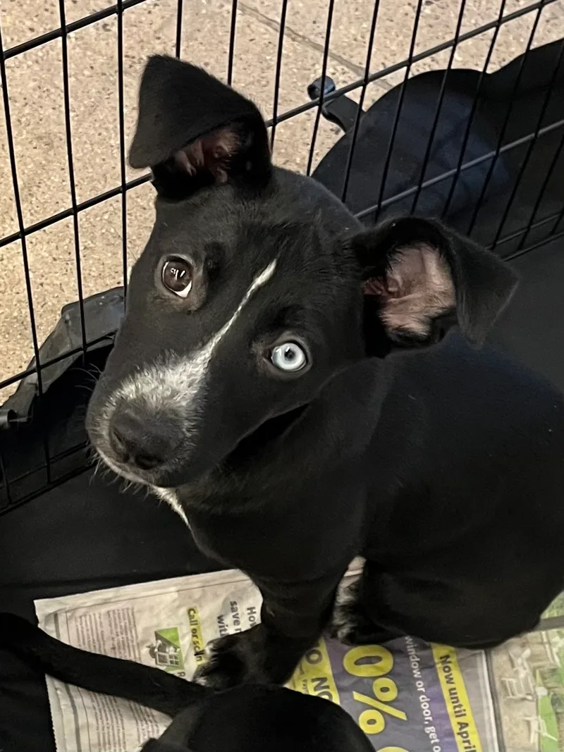 Oliver And Cora thumbnail 2