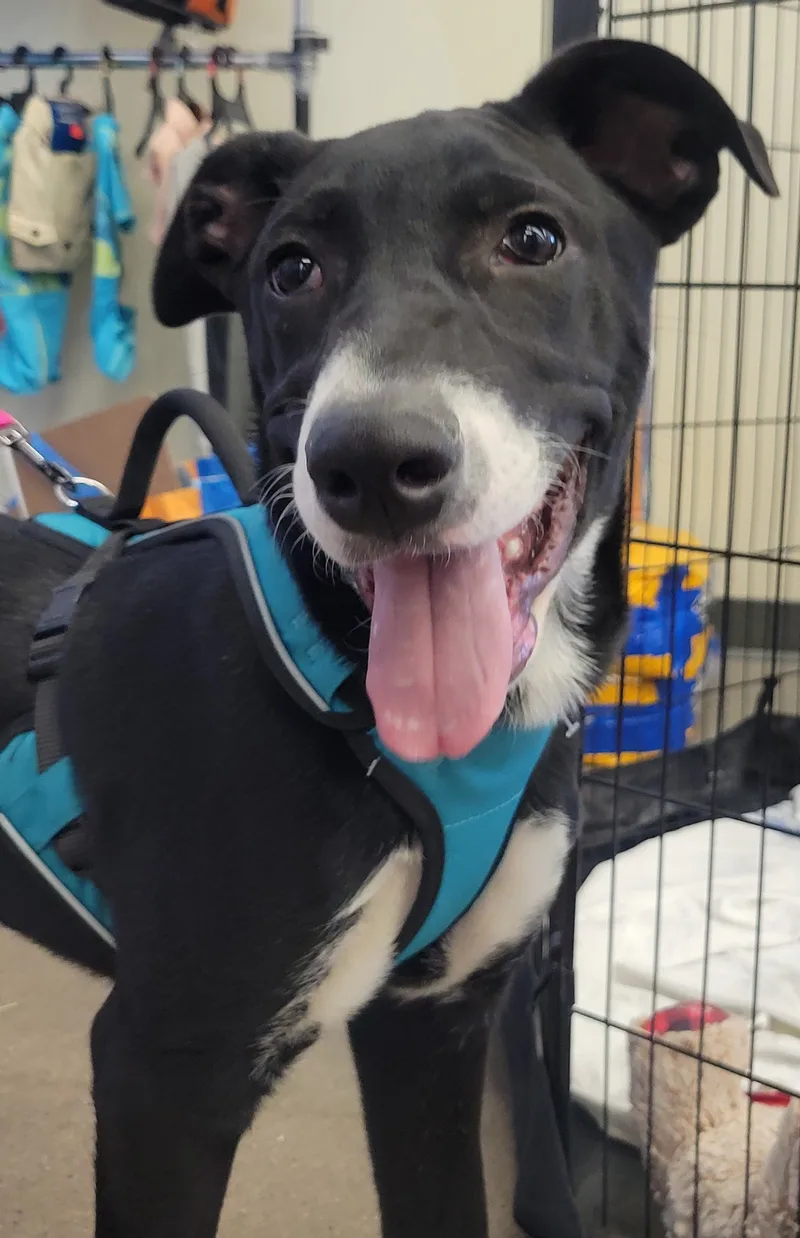 Oliver And Cora thumbnail 3