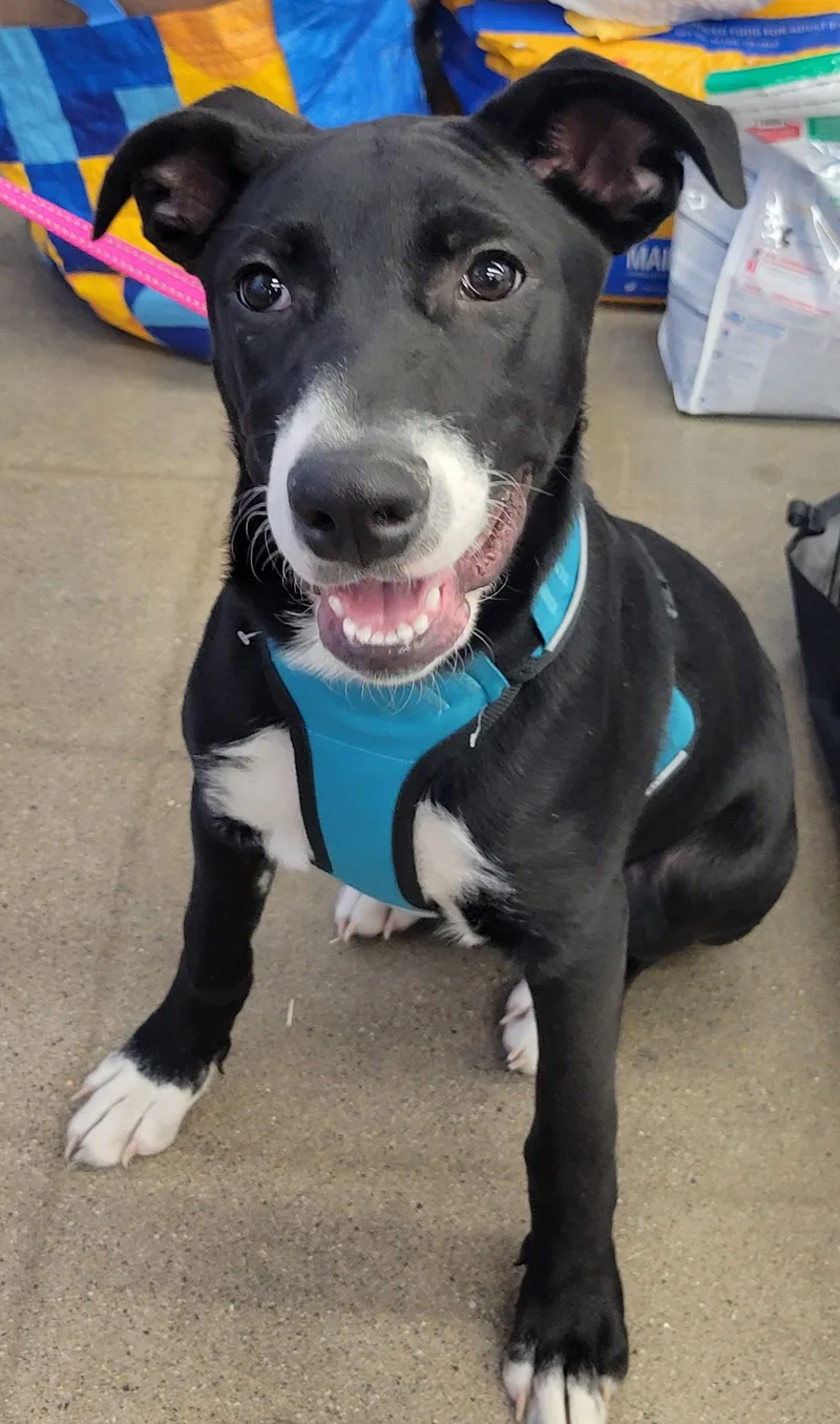 Oliver And Cora thumbnail 5