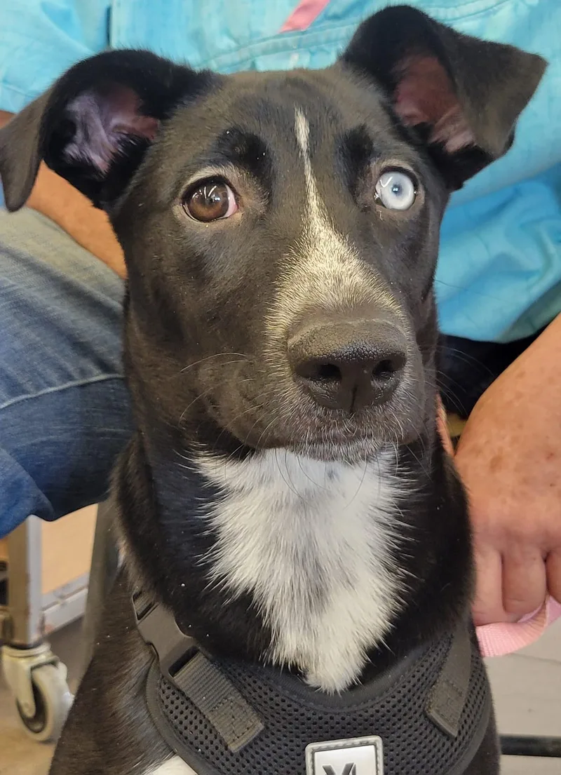 Oliver And Cora thumbnail 6