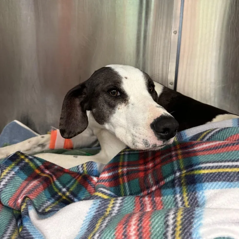 Bernadette thumbnail 2