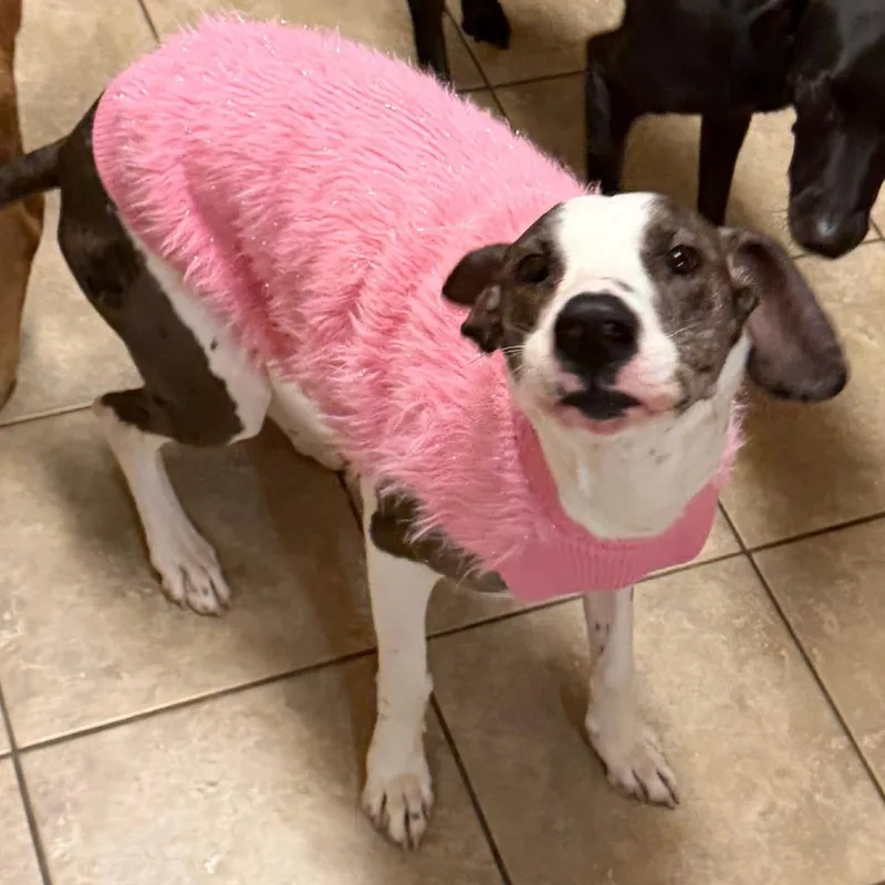 Bernadette thumbnail 3