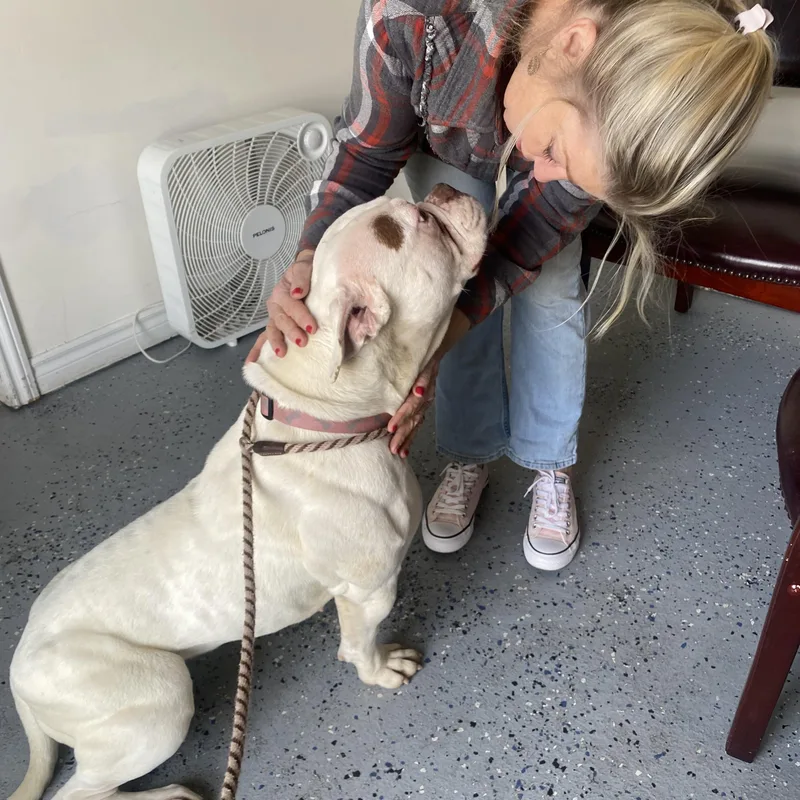 Ella Young Sweet  thumbnail 4