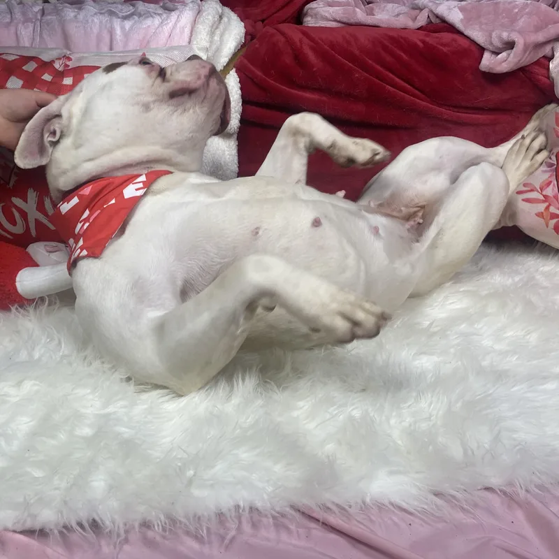 Ella Young Sweet  thumbnail 5