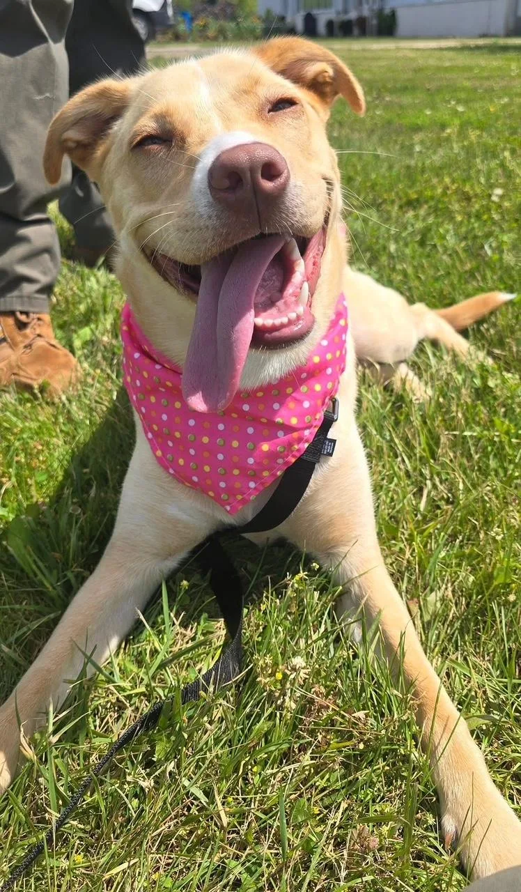 Biscotti In Prison Program thumbnail 3