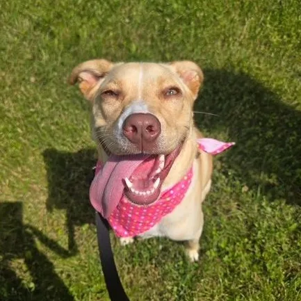 Biscotti In Prison Program thumbnail 4