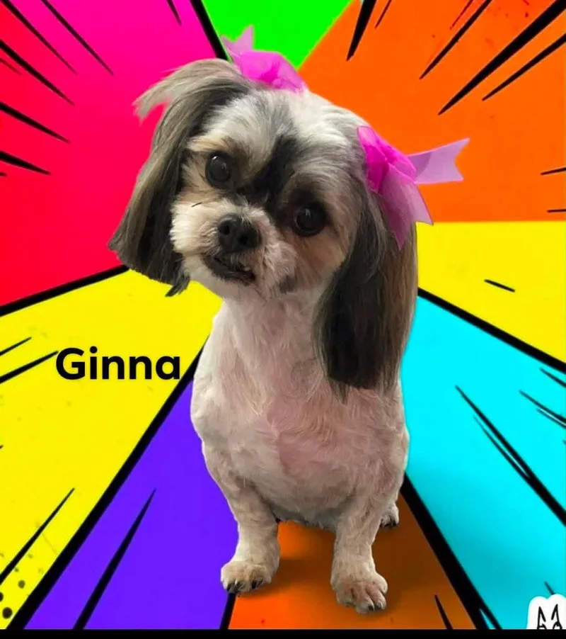 Ginna
