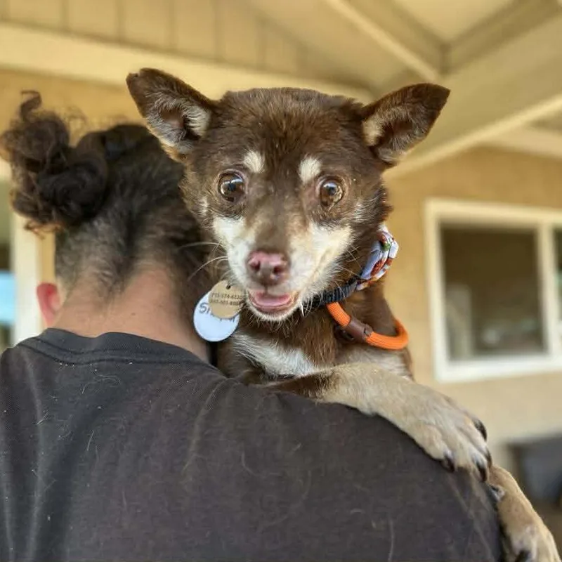 Sharpool thumbnail 2