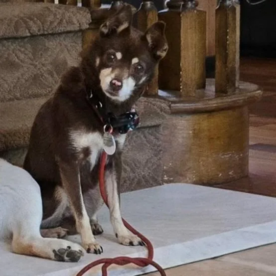 Sharpool thumbnail 3