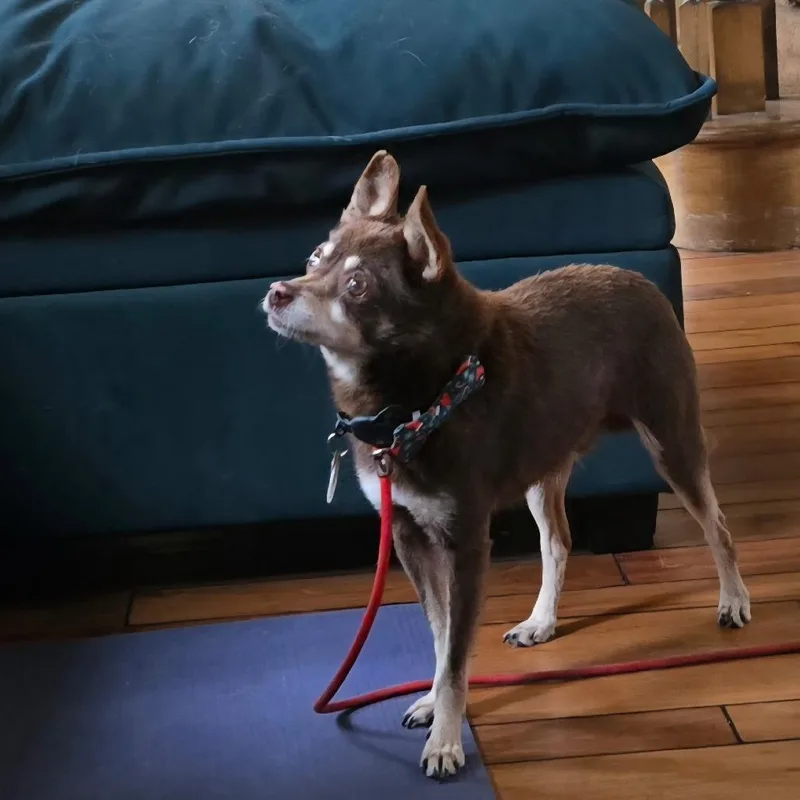 Sharpool thumbnail 4