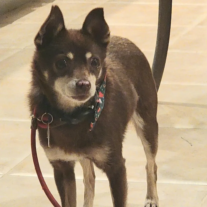 Sharpool thumbnail 5