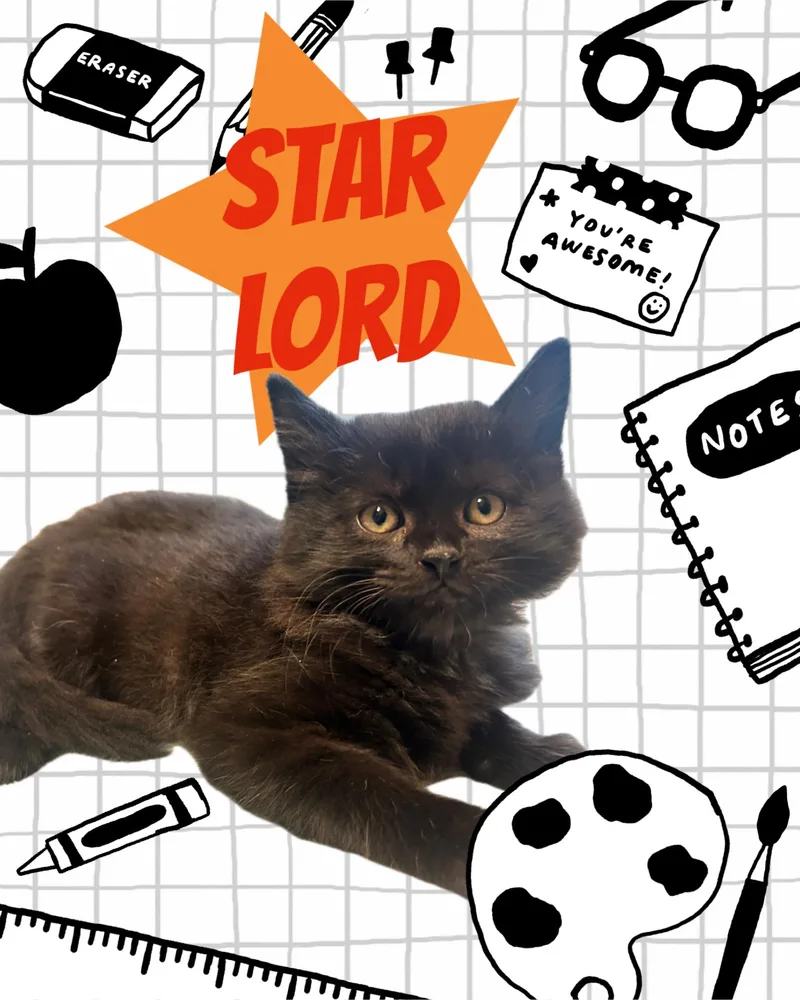 Star Lord thumbnail 4