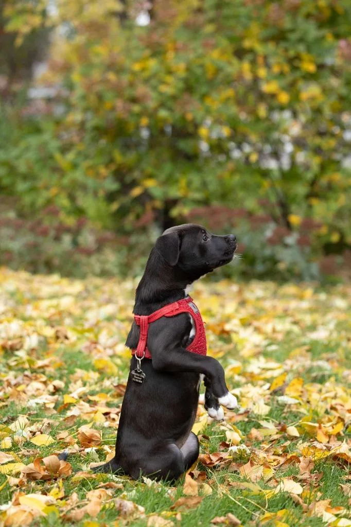 Mariah Carey thumbnail 2