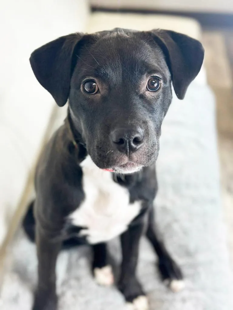 Mariah Carey thumbnail 3