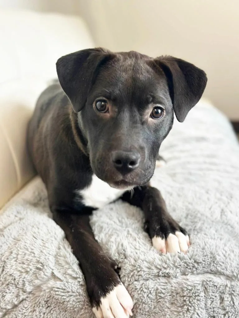 Mariah Carey thumbnail 5