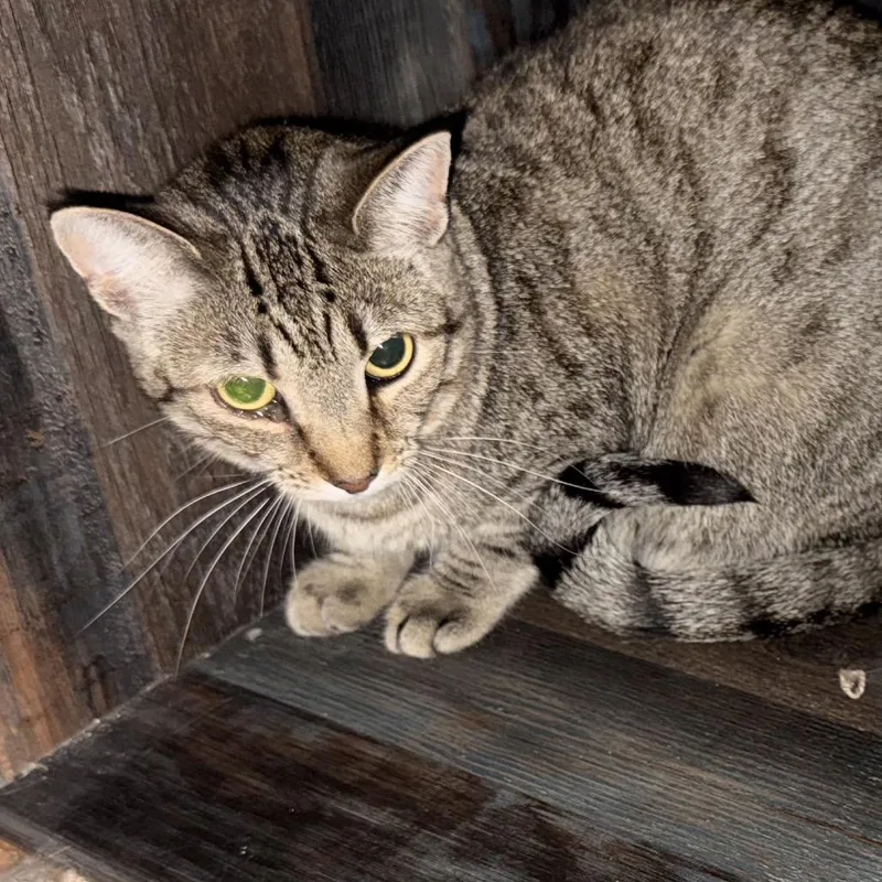 Paula & Larry thumbnail 2