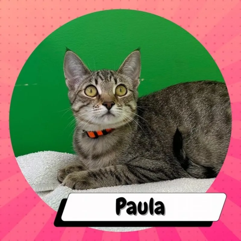 Paula & Larry thumbnail 4