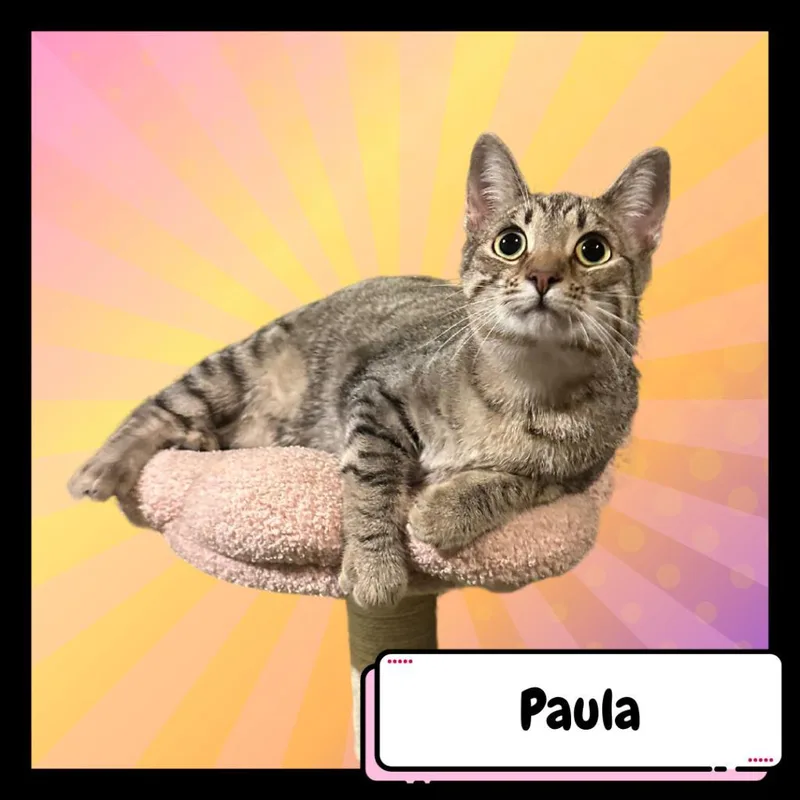 Paula & Larry thumbnail 6