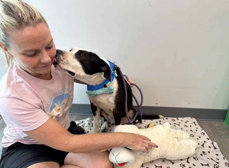 Babe Ruth thumbnail 3