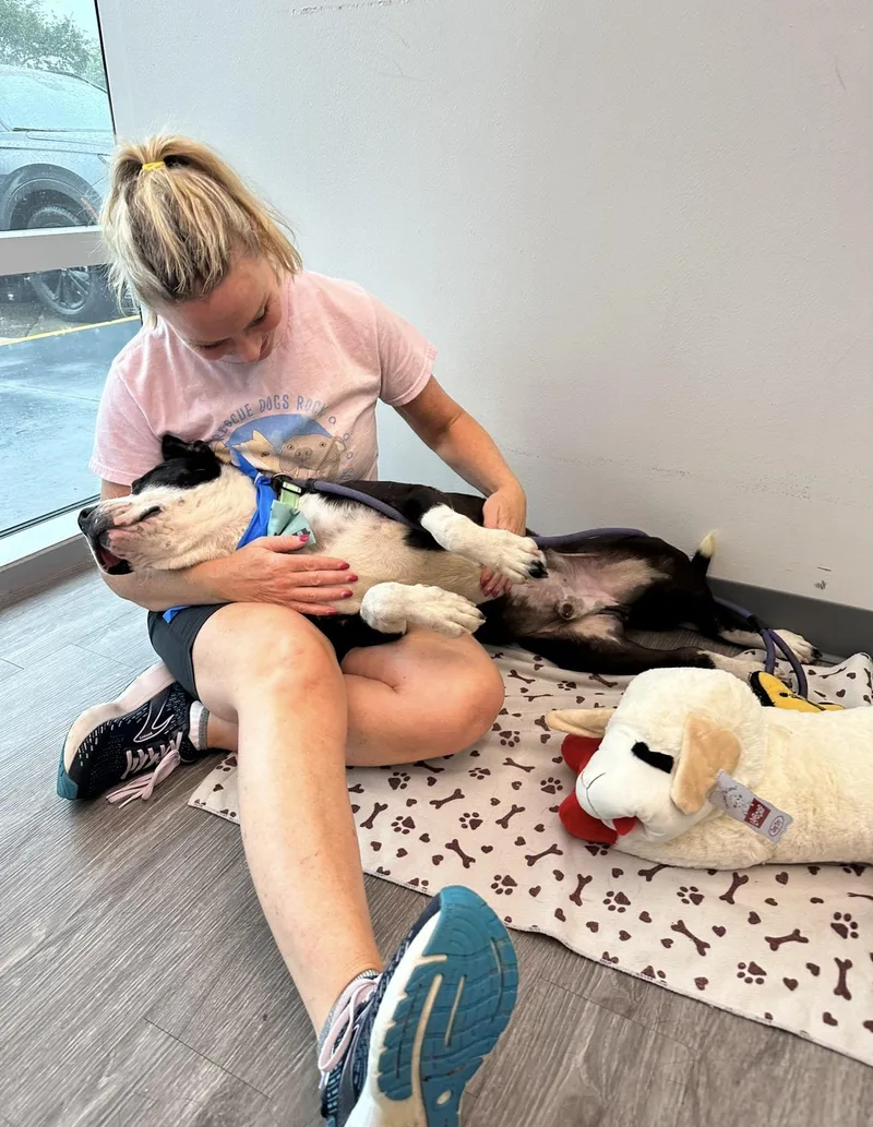 Babe Ruth thumbnail 6