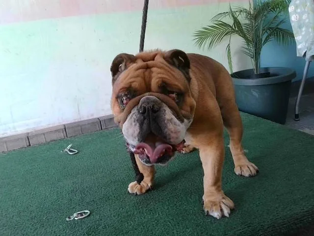 Carter