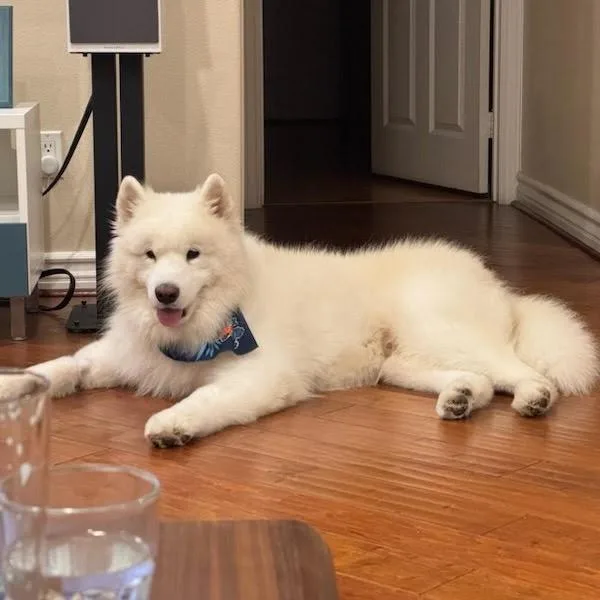 Luka