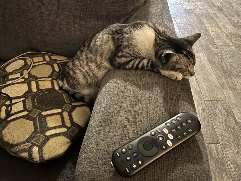 Bumblebee thumbnail 2