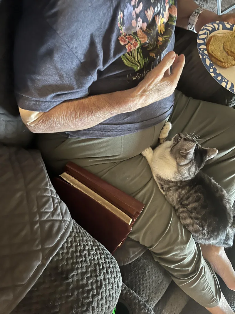 Bumblebee thumbnail 4