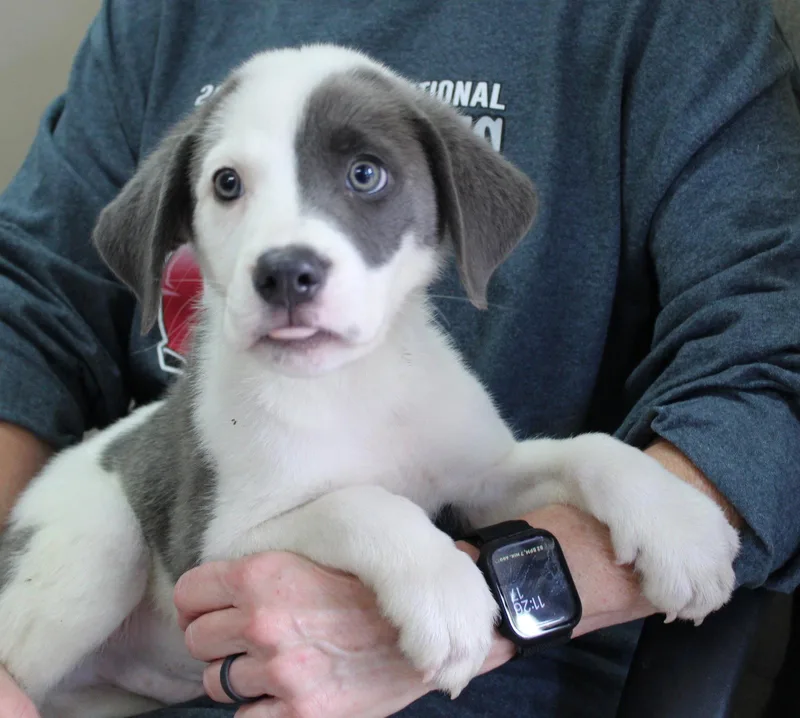 Dave thumbnail 2