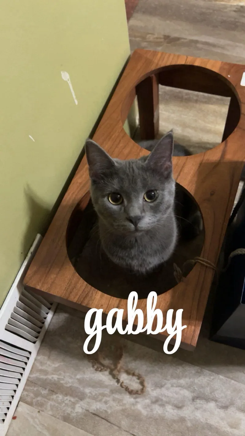 Gabby thumbnail 2