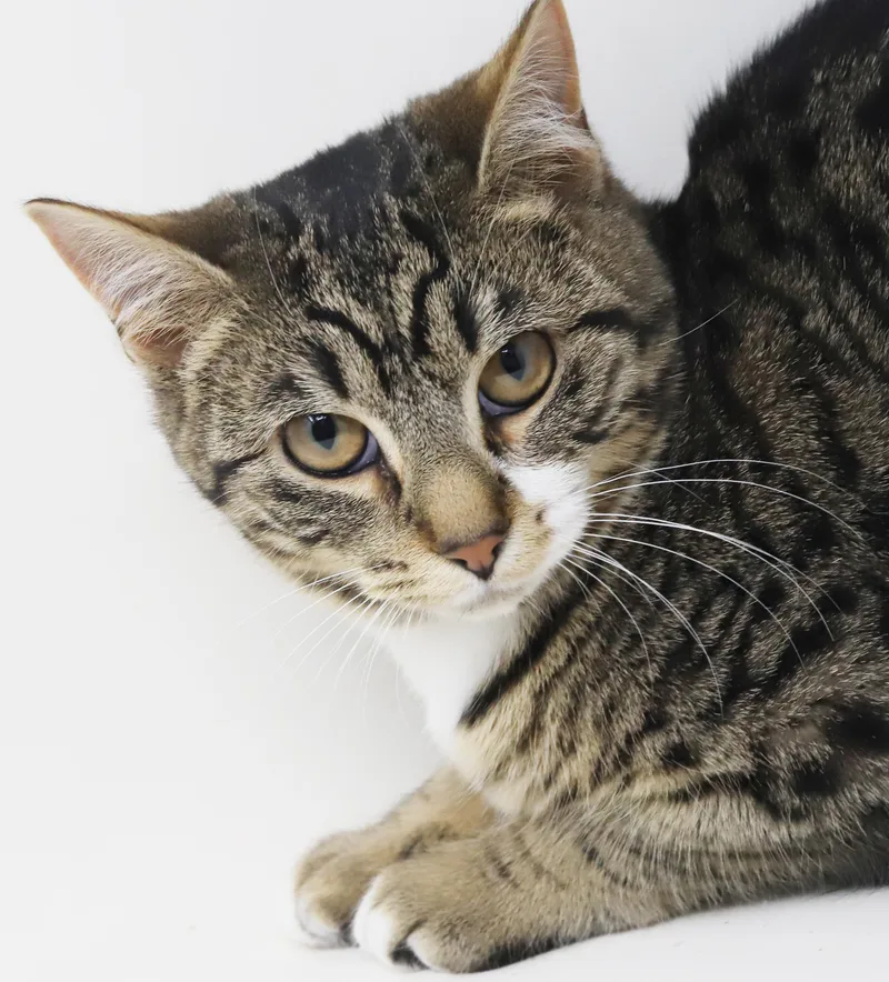 Dawn And Orlando!  thumbnail 3