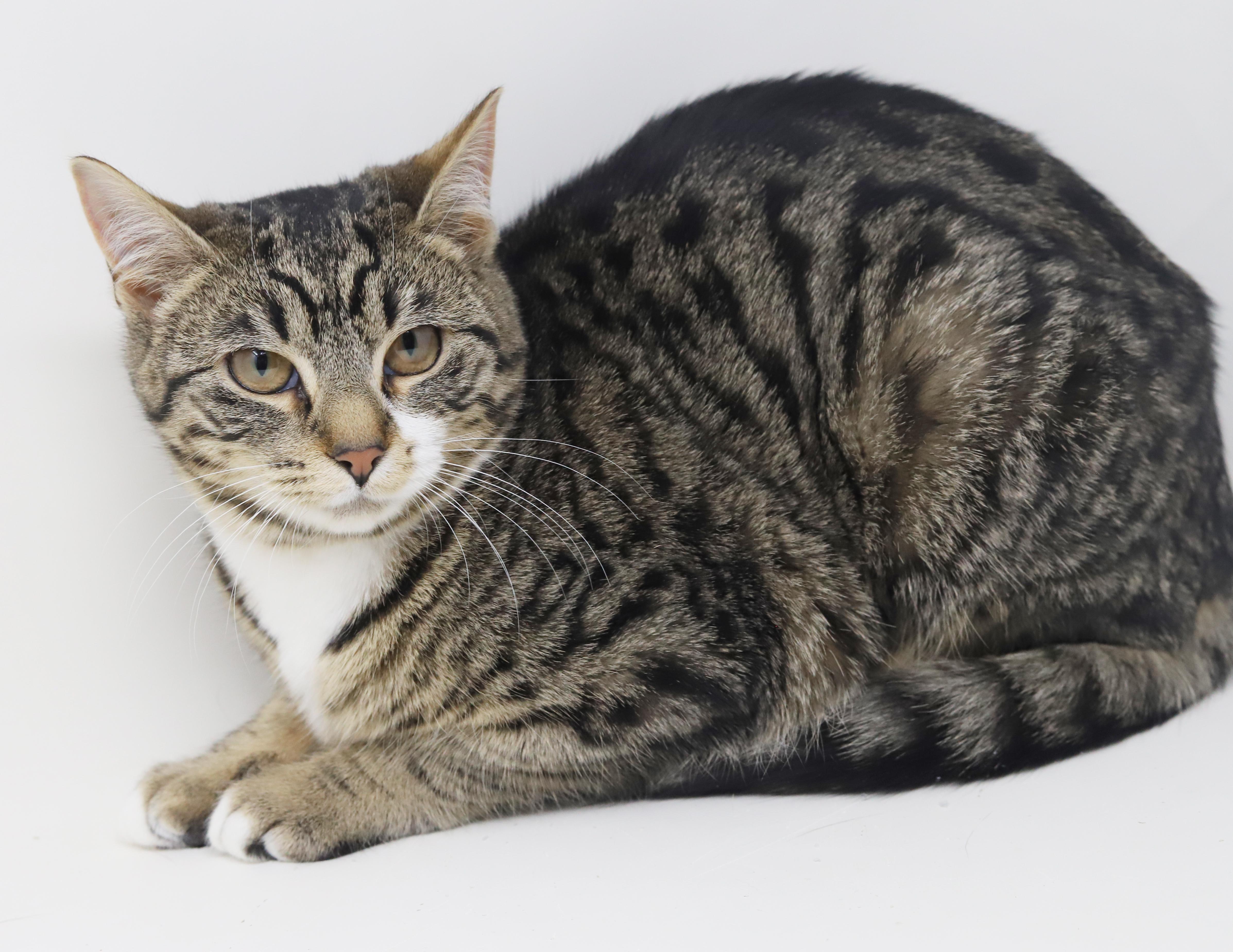 Dawn And Orlando!  thumbnail 4