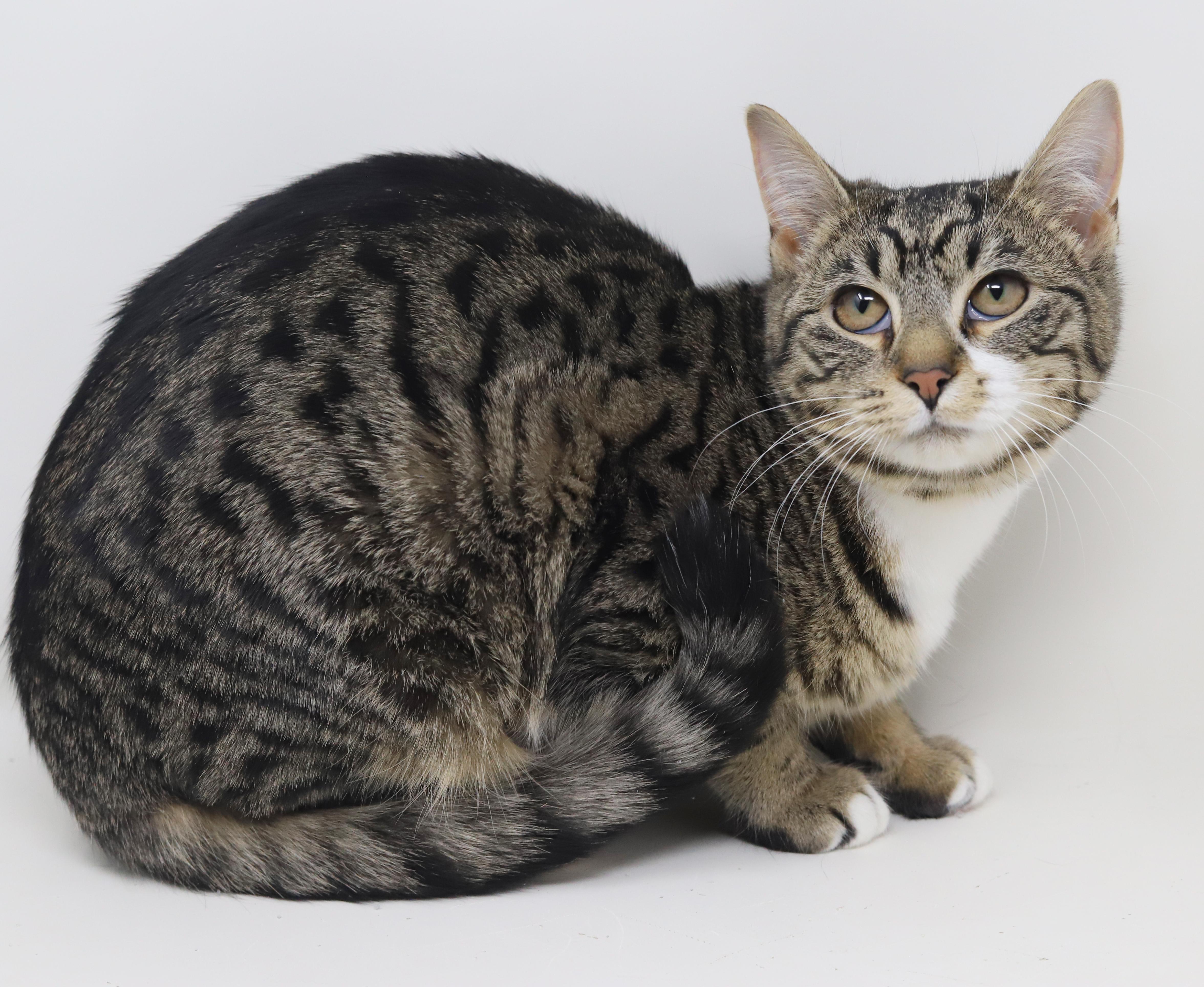 Dawn And Orlando!  thumbnail 5