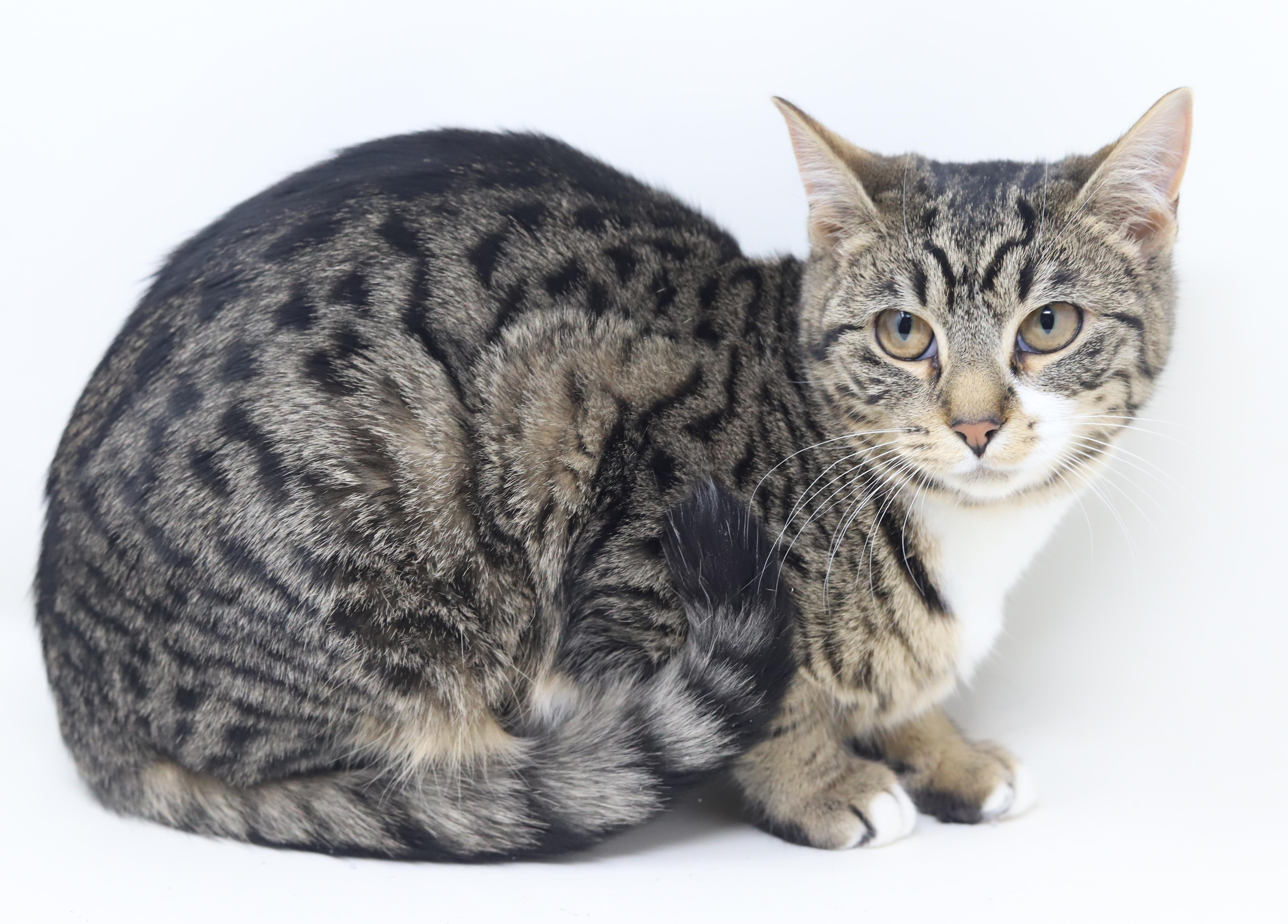 Dawn And Orlando!  thumbnail 6