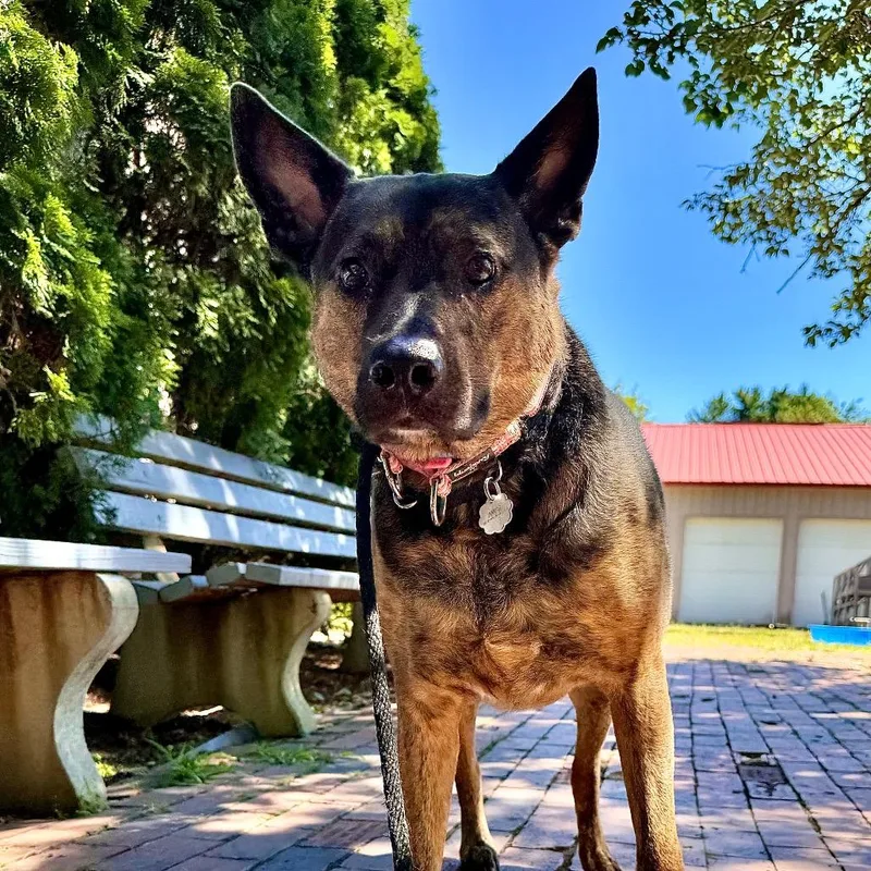 Georgia Mae thumbnail 3