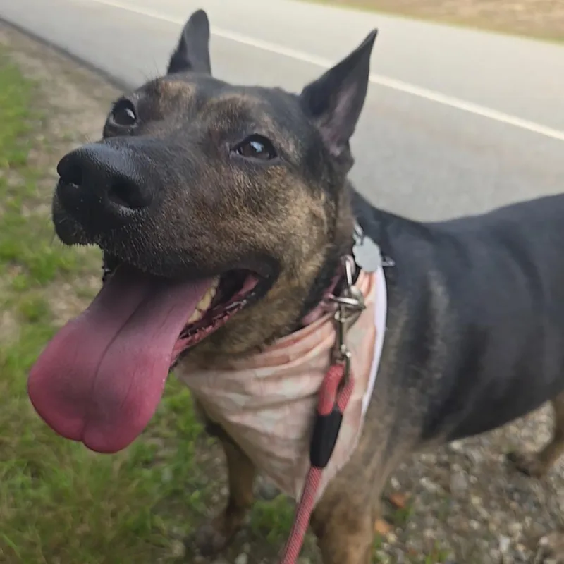 Georgia Mae thumbnail 5