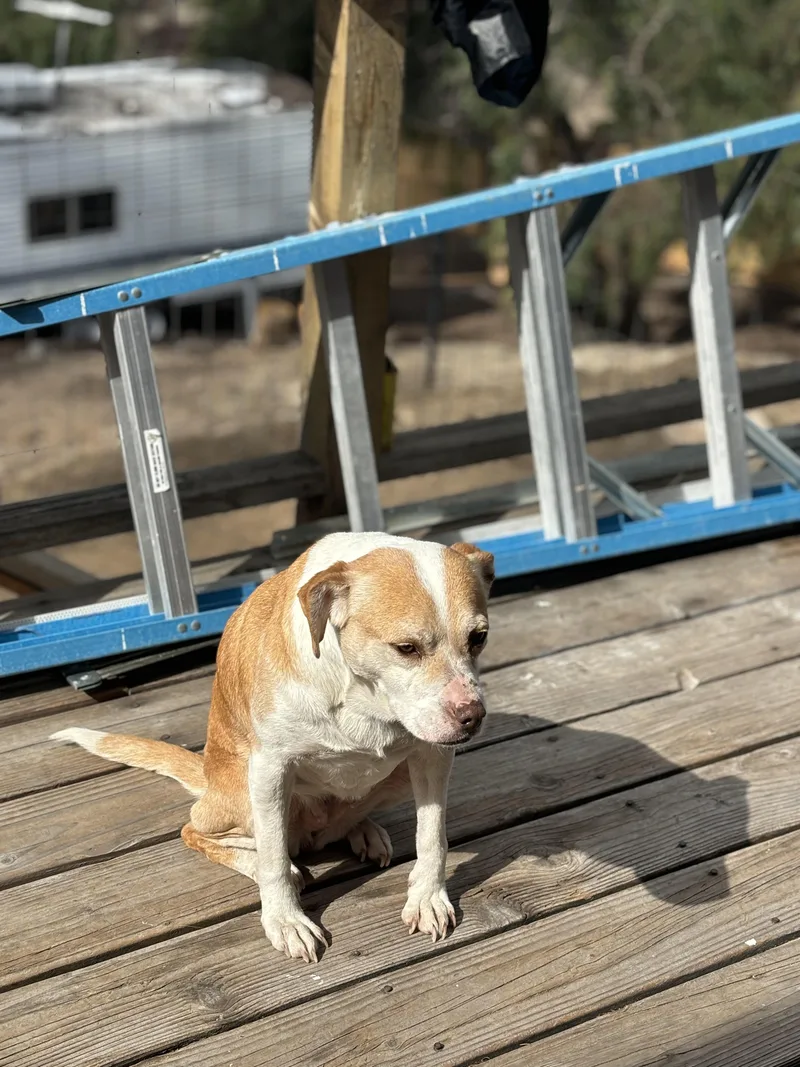 Granma Emma thumbnail 2