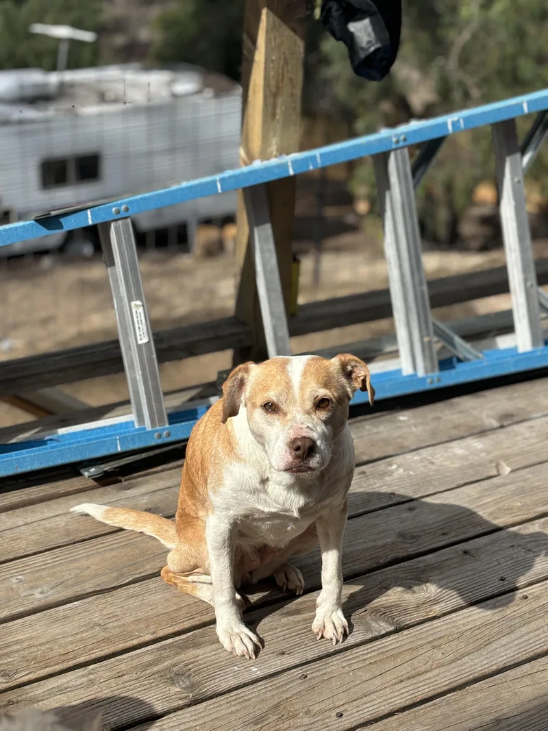 Granma Emma thumbnail 3