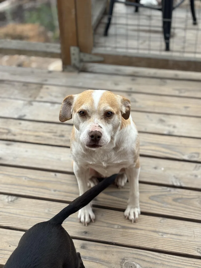 Granma Emma thumbnail 4